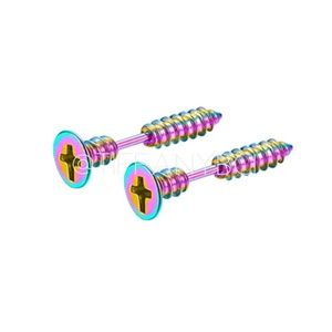 Rainbow Stainless Steel Screw Earrings